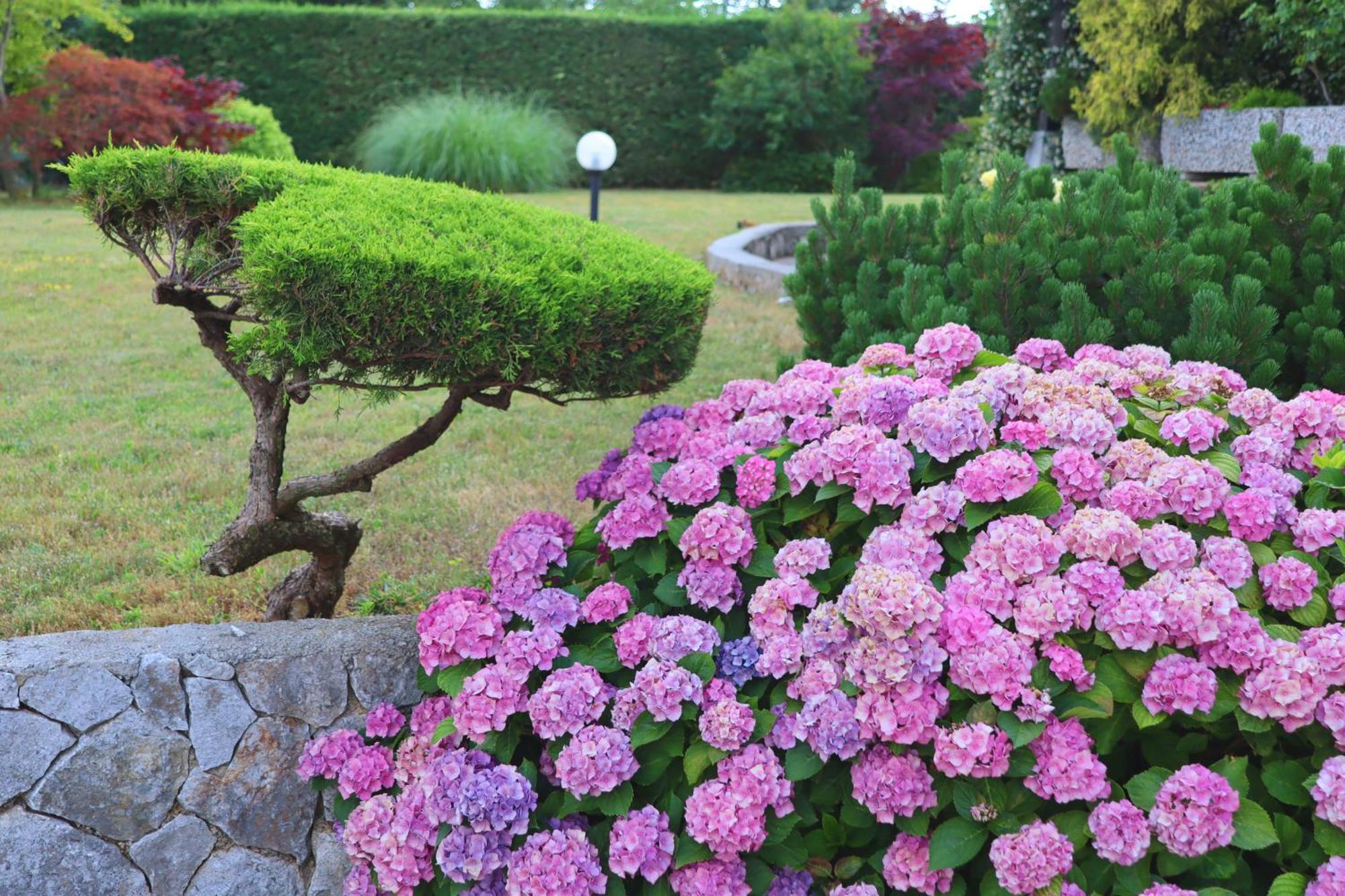 Garden Villa Štanjel Kültér fotó
